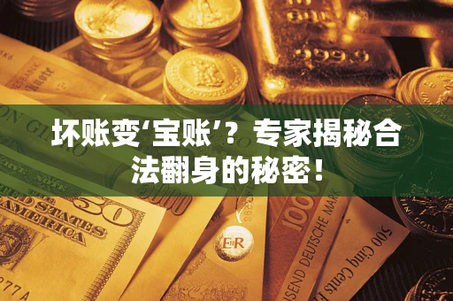 济南坏账变‘宝账’？专家揭秘合法翻身的秘密！