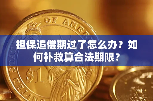 济南担保追偿期过了怎么办？如何补救算合法期限？