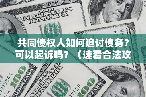 济南共同债权人如何追讨债务？可以起诉吗？（速看合法攻略）